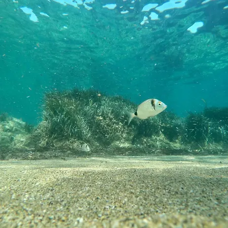 Berenice - Isola D'elba Apartamento Rio Marina