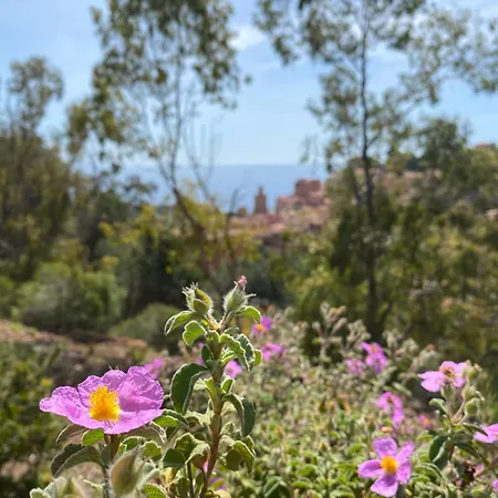 Berenice - Isola D'elba *