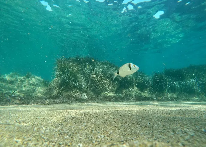 Berenice - Isola D'elba Daire Rio Marina