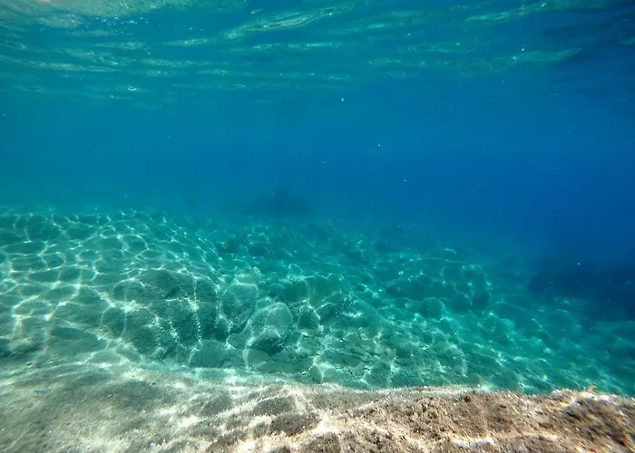 Berenice - Isola D'elba Daire