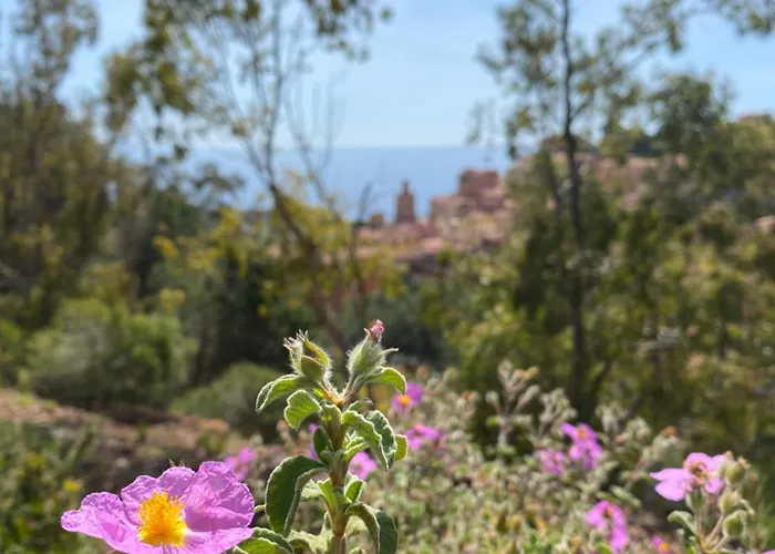 Berenice - Isola D'elba *