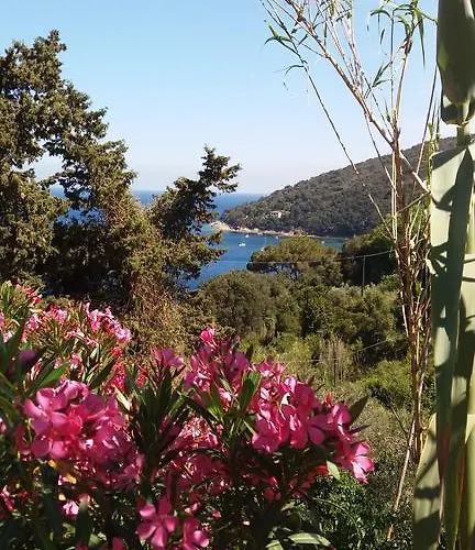 Berenice - Isola D'elba Daire