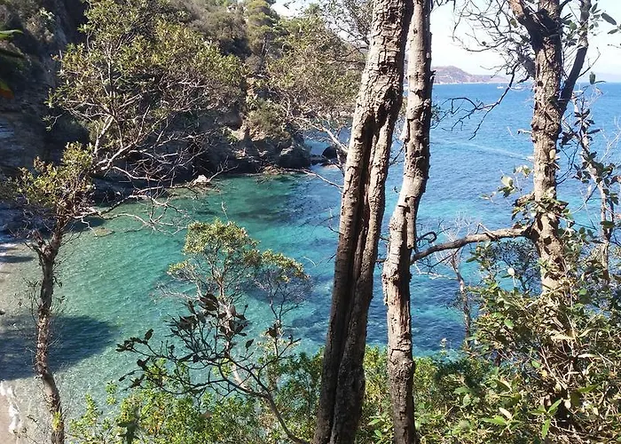 Berenice - Isola D'elba Daire