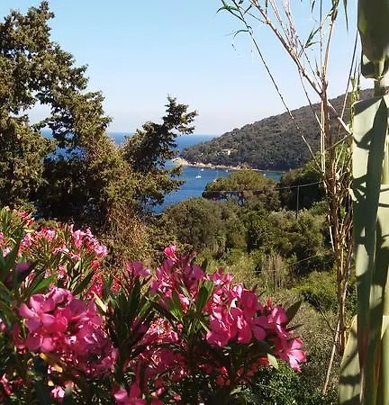 Berenice - Isola D'elba Lägenhet