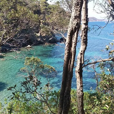 Berenice - Isola D'elba Lägenhet