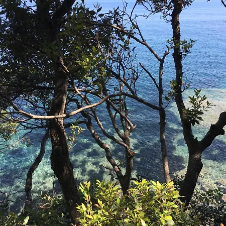 Apartamento Berenice - Isola D'elba *