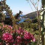 Berenice - Isola D'elba Appartement